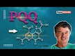 Відео огляд на Jarrow Formulas, PQQ Quinone 20 mg, PQQ 20 мг, 30 капсул