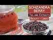 Відео огляд на Schizandra 500 mg, Лимонник китайский 500 мг, 100 капсул