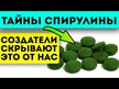 Відео огляд на Vimergy, Spirulina, Спіруліна, 180 капсул