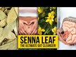 Відео огляд на Nature's Way, Senna Leaves 450 mg, Сена 450 мг, 100 капсул