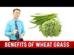 Відео огляд на Wheatgrass Juice Powder, Паростки пшениці Вітграсс, 150 г