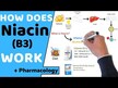Відео огляд на Bluebonnet Nutrition, Niacin 500 mg, Ніацин 500 мг, 120 капсул