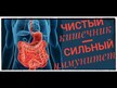 Відео огляд на NOW, Pure Apple Fiber, Яблучна клітковина, 340 г