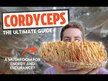 Відео огляд на Host Defense Mushrooms, Cordyceps, Гриби Кордицепс, 120 капсул