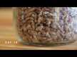 Відео огляд на Mushroom Lion's Mane Mycelium Powder, Гриби Левова Грива, 10