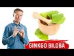 Відео огляд на Ginkgo Biloba Phytosome, Гінкго Білоба, 60 капсул