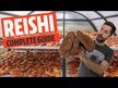 Відео огляд на Host Defense Mushrooms, Reishi, Гриби Рейши, 60 капсул
