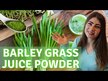 Відео огляд на Vimergy, Barley Grass Juice Powder, Ячмінь, 240 капсул