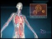 Відео огляд на Jarrow Formulas, Beta Glucan, Бета-глюкани, 60 капсул