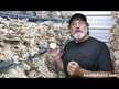 Відео огляд на Host Defense Mushrooms, Maitake, Гриби Майтаке, 120 капсул