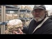 Відео огляд на Host Defense Mushrooms, Turkey Tail, Гриби Хвіст Індички, 100 г