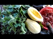 Відео огляд на Natural Tropical Papaya, Ферменти Папайї, 500 Wafers