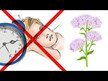 Відео огляд на NOW, Valerian Root 500 mg, Корінь валеріани 500 мг, 250 капсул