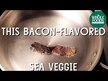 Відео огляд на Cenalga, Dulse Whole Leaf, Водорості Дульсе, 42.5 г