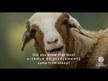 Відео огляд на Pure Synergy, D3 + K2 Complex, Вітаміни D3 K2, 60 капсул