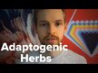 Відео огляд на Herb Pharm, Bacopa, Бакопа Моньє, 30 мл