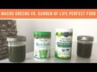 Відео огляд на Garden of Life, Perfect Food, Суперфуд, 600 г