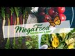 Відео огляд на MegaFood, Balanced Minerals, Баланс Мінералів, 90 таблеток