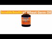 Відео огляд на NOW, Wheat Germ Oil, Масло зародків пшениці, 473 мл