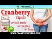 Відео огляд на Life Extension, Cran-Max Cranberry, Журавлина 500 мг, 60 капсул